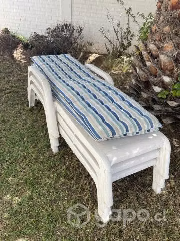 Reposeras más colchonetas