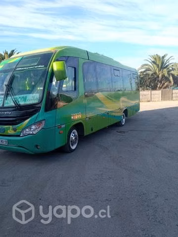 Bus mascarello