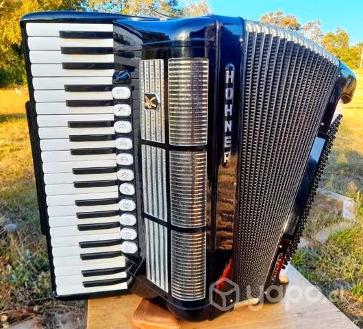 Acordeon Hohner Forty fs 120 bajos Aleman