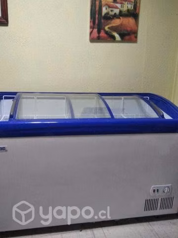 Cnservadora de Alimentos (Congela)