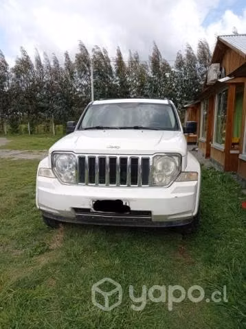Vendo jeep
