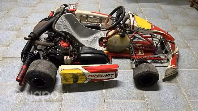 Vendo karting profesional birel ART