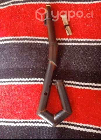 Saxo andino