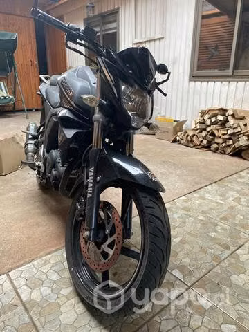 Fz 2.0 2021