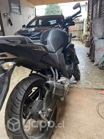 Fz 2.0 2021