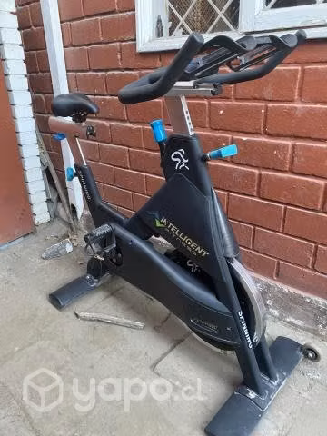 Bicicleta estática importada excelente estado.