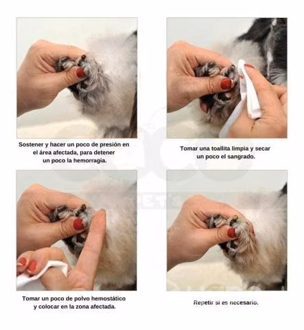 Bioline Polvo Cicatrizante Para Heridas Nails 14gr
