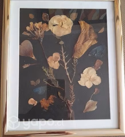 Hermosos cuadros decorativos