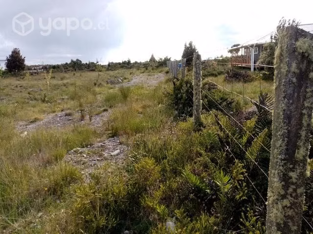 Parcela camino a la Colonia