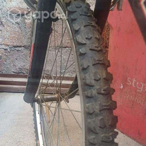 Bianchi barata - Imagen 3