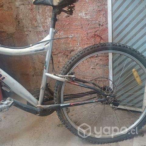 Bianchi barata - Imagen 5