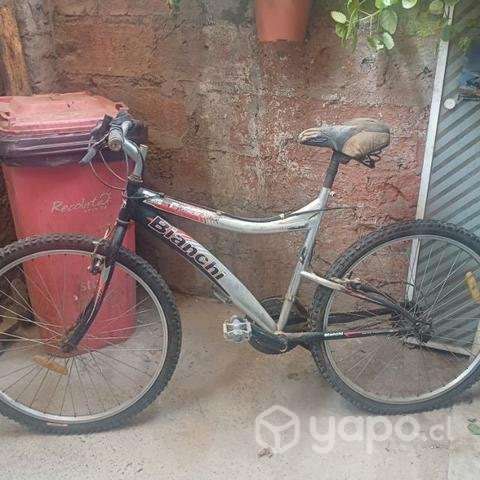 Bianchi barata - Imagen 4