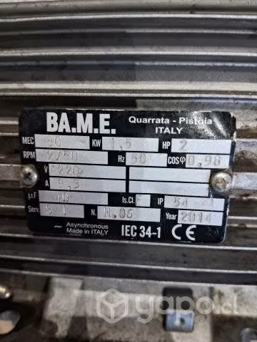 Motor electrico