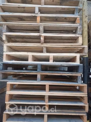 Pallets de madera