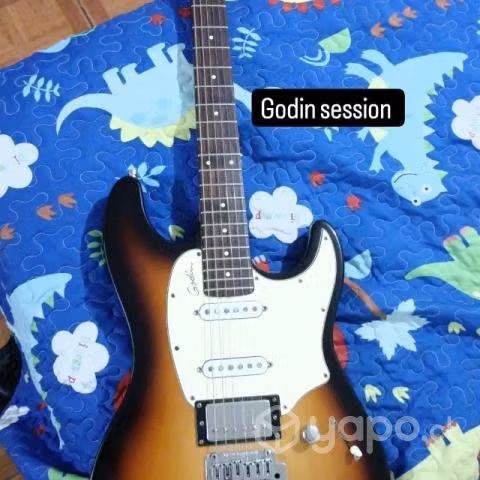 Godin Sesión