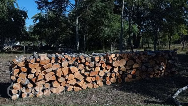 Leña seca hualle