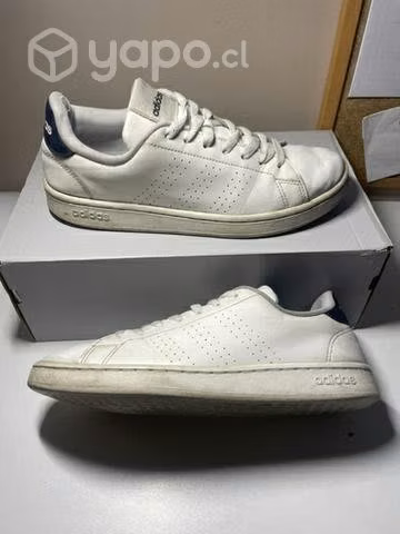 Adidas advantage base