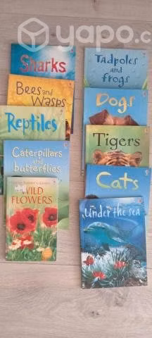 Pack Libros educacionales para niños en inglés