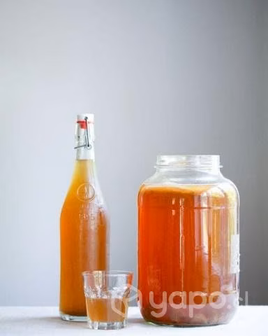 Kit Inicial Kombucha