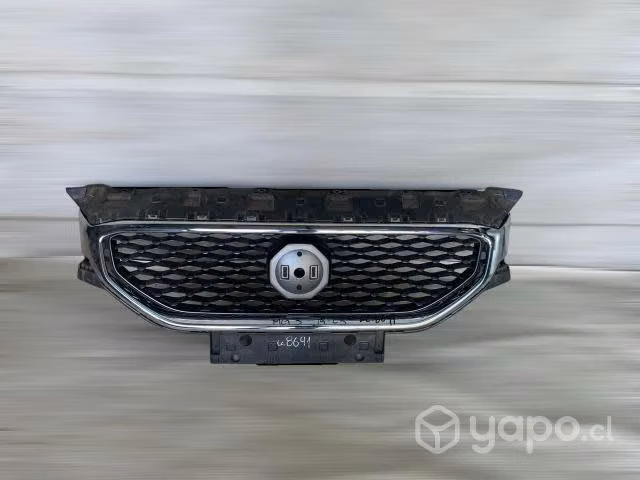Mascara mg 