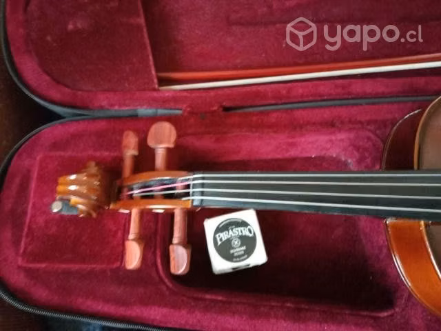 Viola 4/4