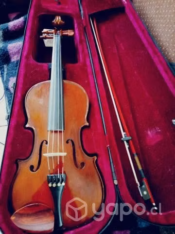 Viola 4/4