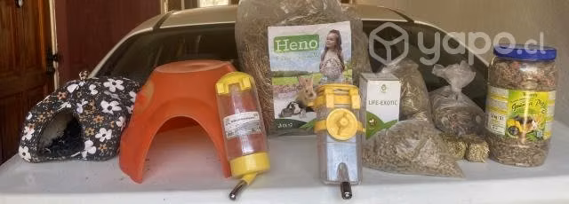Jaula y accesorios para coy o cobayo