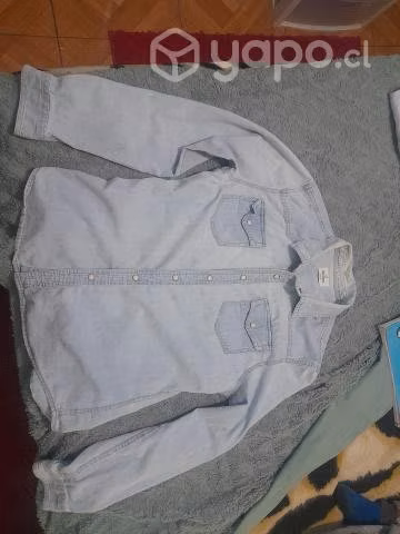 Camisas y cortaviento