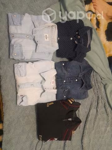 Camisas y cortaviento