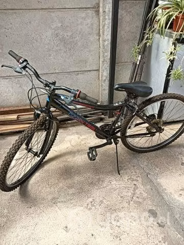 Bicicleta mujer
