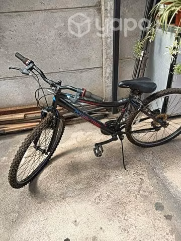 Bicicleta mujer