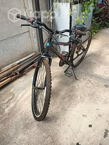 Bicicleta mujer
