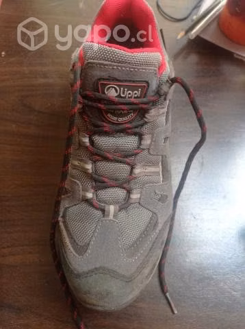 Zapatos Lippi Puelo Cs Low Gris Rojo