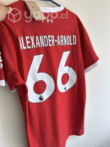 Camiseta Alexander-Arnold 23/24 version jugador