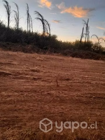 Se venden parcela de 5000m2 - Imagen 2