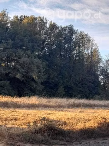Se venden parcela de 5000m2 - Imagen 3