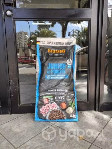 Alimento Perro Belcando Junior 12,5kg
