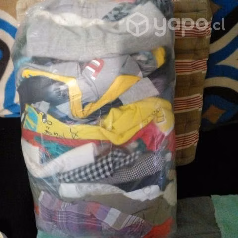 Lote surtido de poleras