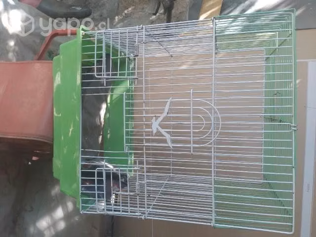Jaulas - Imagen 3