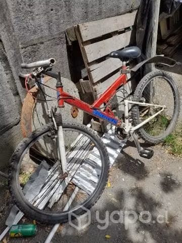 Bicicleta