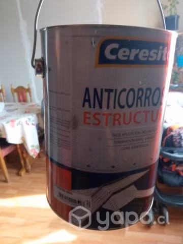Anticorrosivo y pintura