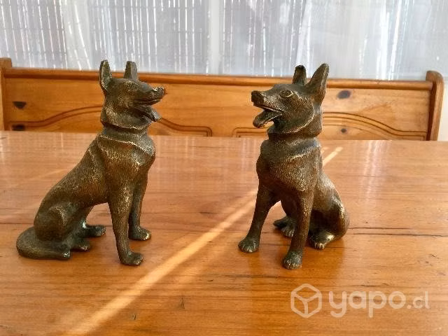 Hermosos de bronce