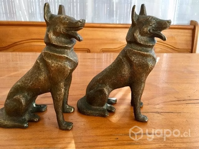 Hermosos de bronce