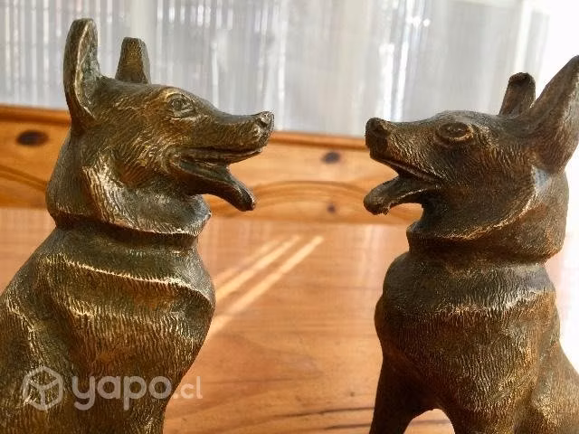 Hermosos de bronce