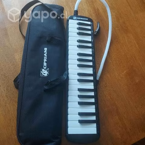 Melódica musical - Imagen 2