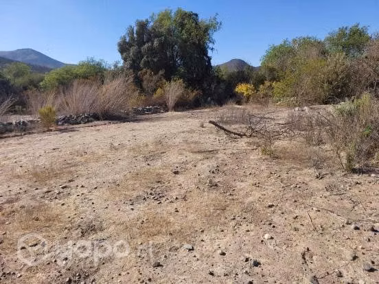 Venta terreno 6,5 hectarias, a 20 min de ovalle
