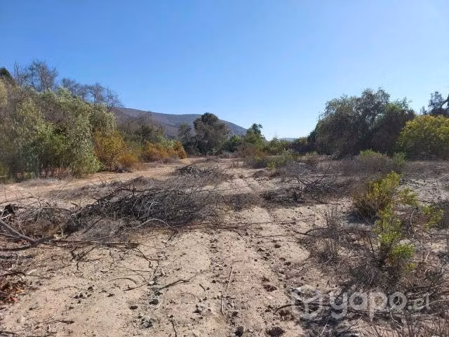 Venta terreno 6,5 hectarias, a 20 min de ovalle