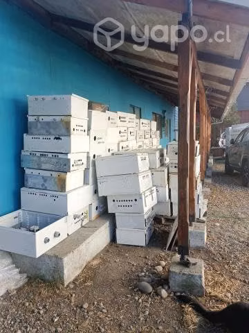 Artículos eléctricos