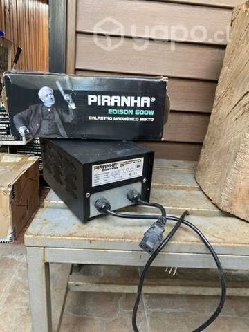 Led Piranha y otros artículos