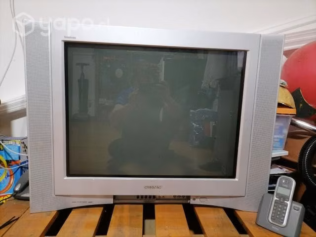 Vendo televisor Sony con subwoofer 29 pulgadas - Imagen 3